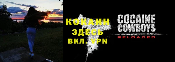 ПСИЛОЦИБИНОВЫЕ ГРИБЫ Кулебаки